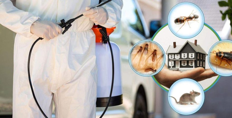 Serinhisar Böcek İlaçlama