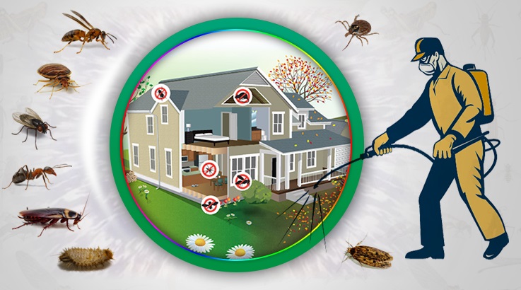 Serinhisar Böcek İlaçlama