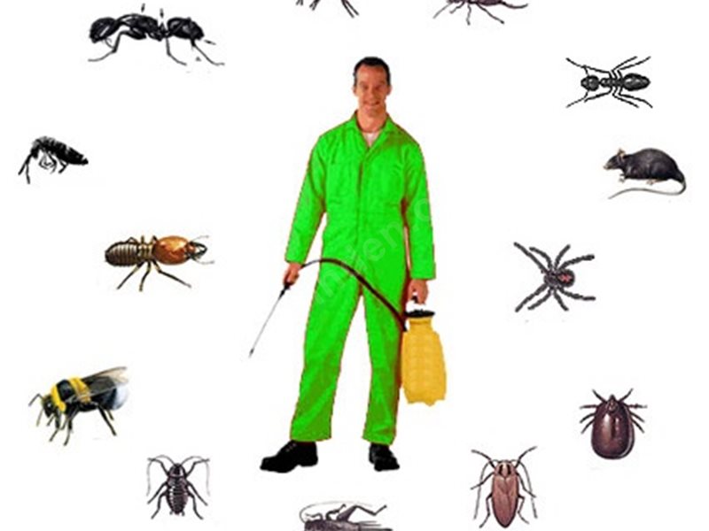 Serinhisar Böcek İlaçlama